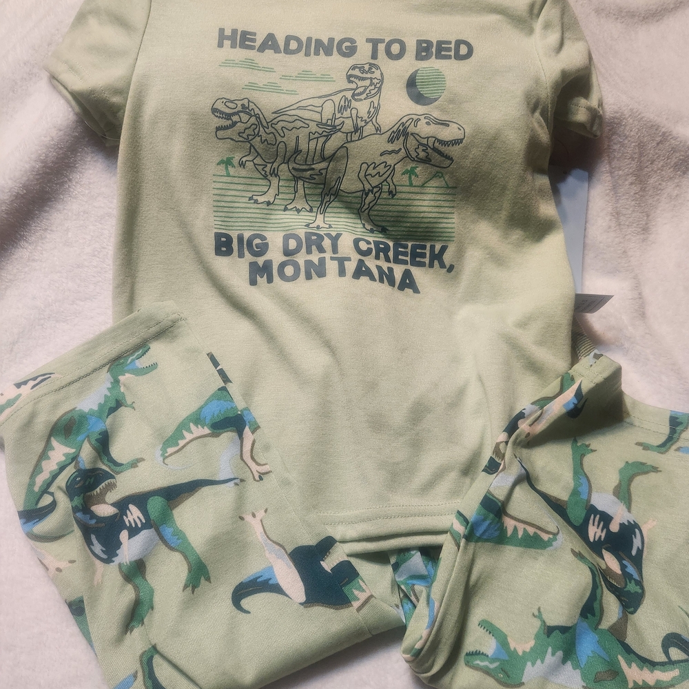 Cat & Jack Dinosaur Pajama Set - Light Green